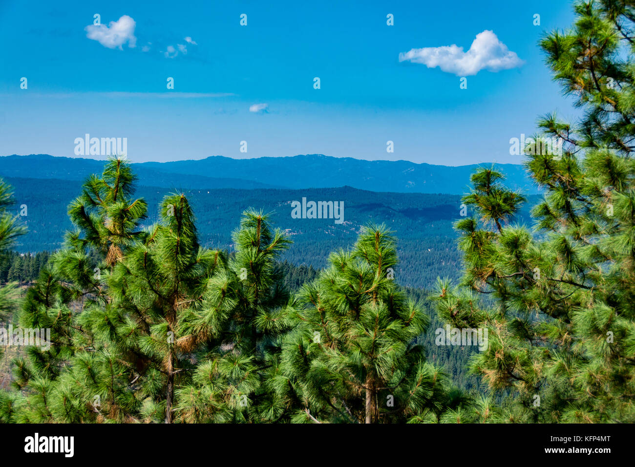 Vedute panoramiche di Boise National Forest in Idaho, Stati Uniti d'America Foto Stock