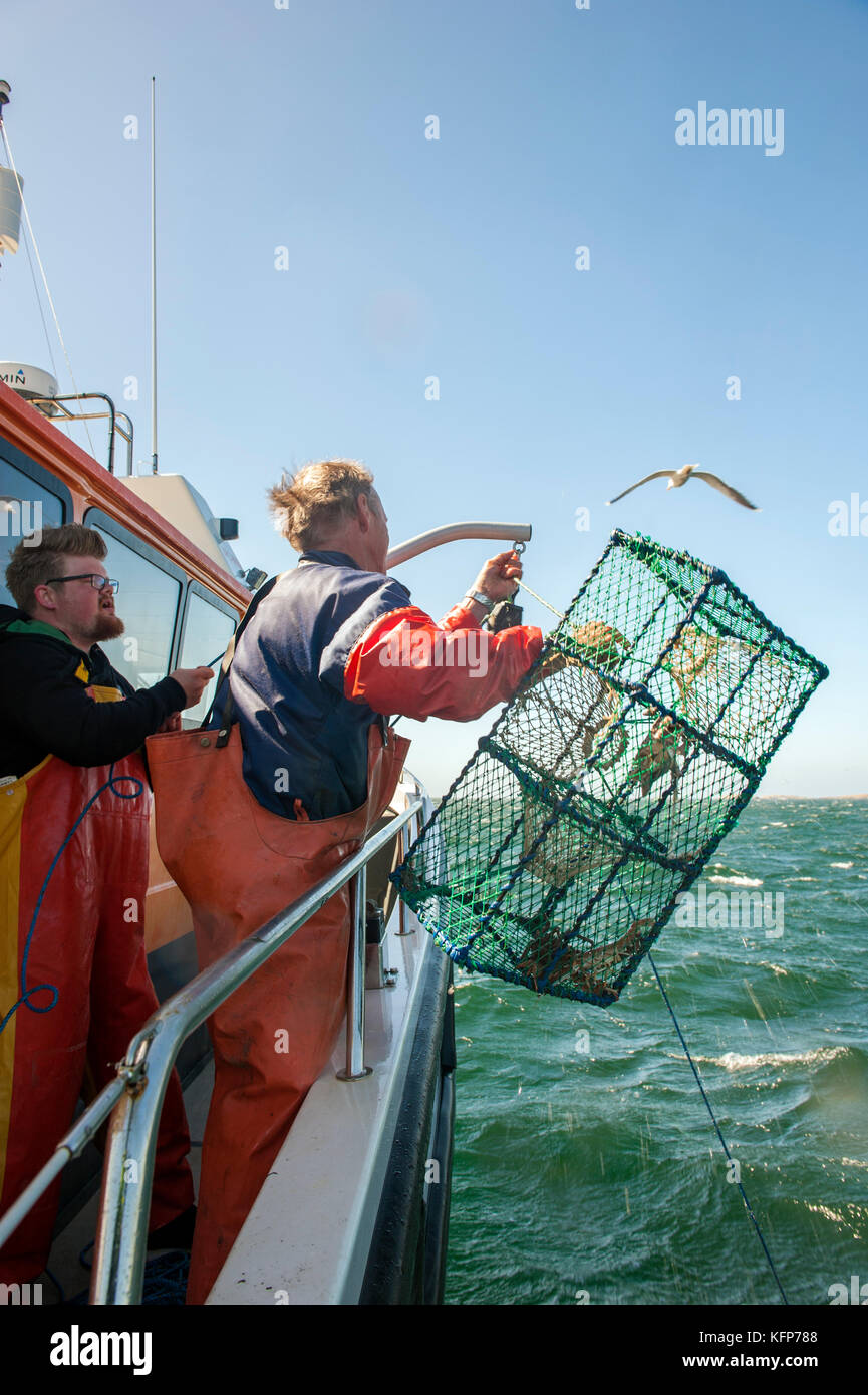 Langoustine pesca al largo il tempo isole dell'arcipelago di Bohuslän, Svezia occidentale. Foto Stock