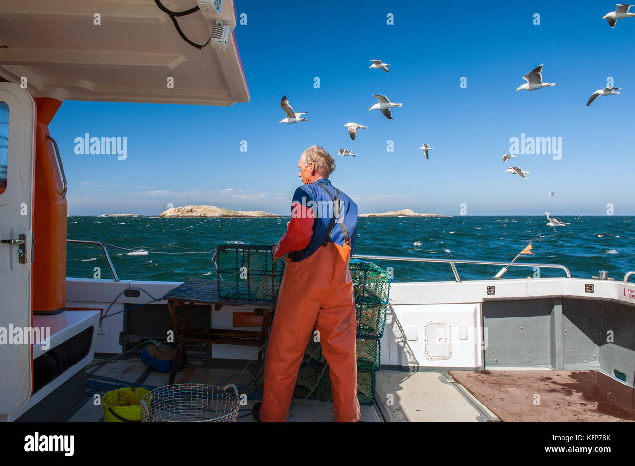 Langoustine pesca al largo il tempo isole dell'arcipelago di Bohuslän, Svezia occidentale. Foto Stock