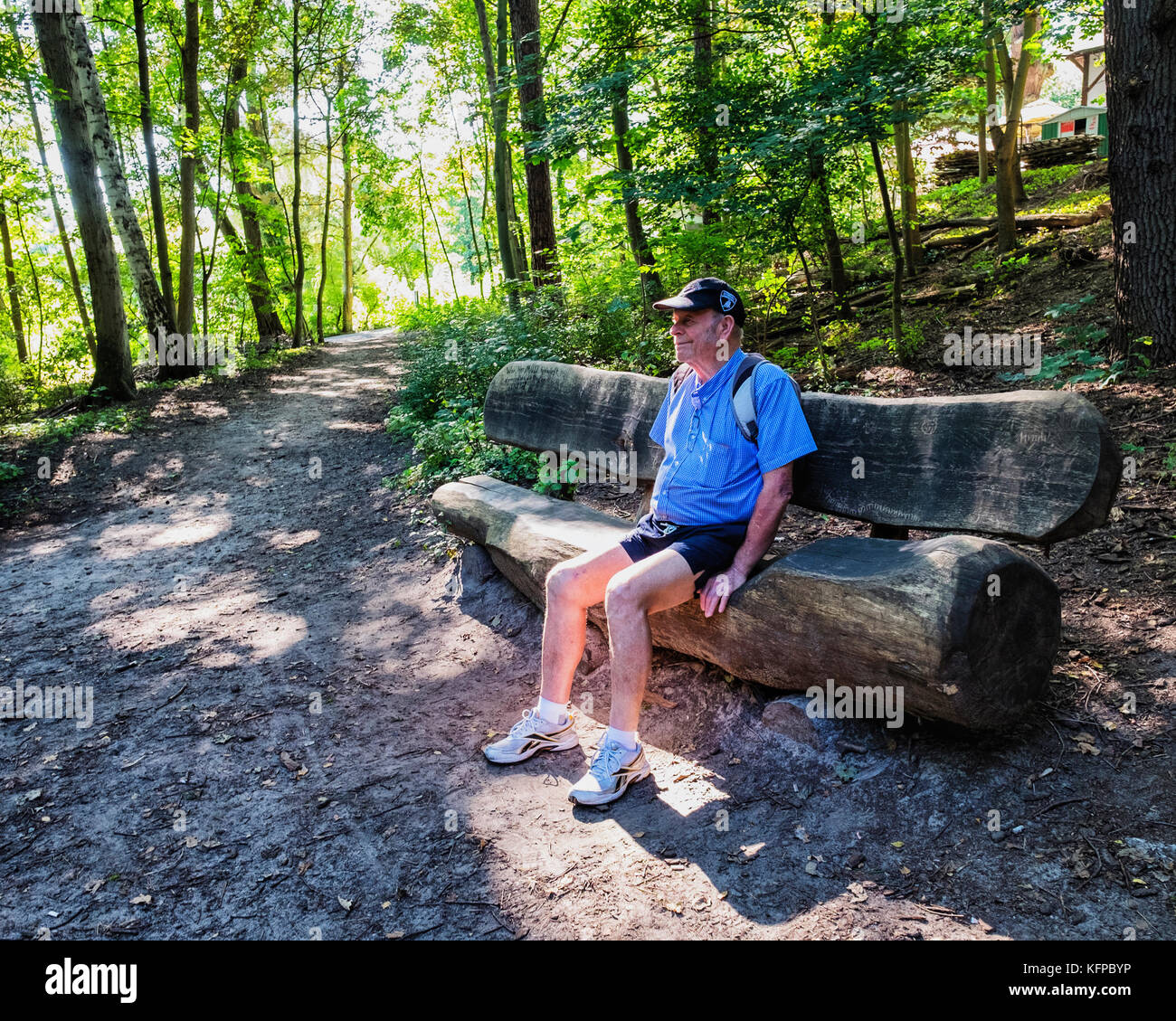 Berlin Alt-Tegel,Tegel foresta. Senior anziano uomo seduto su legno banco registro accanto al percorso nella foresta di Tegel Foto Stock