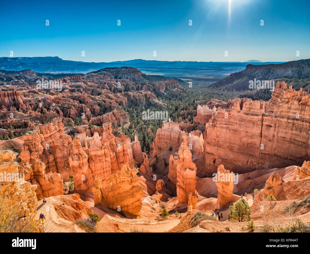 Bryce Canyon giù per Wall Street in Utah, USA Foto Stock