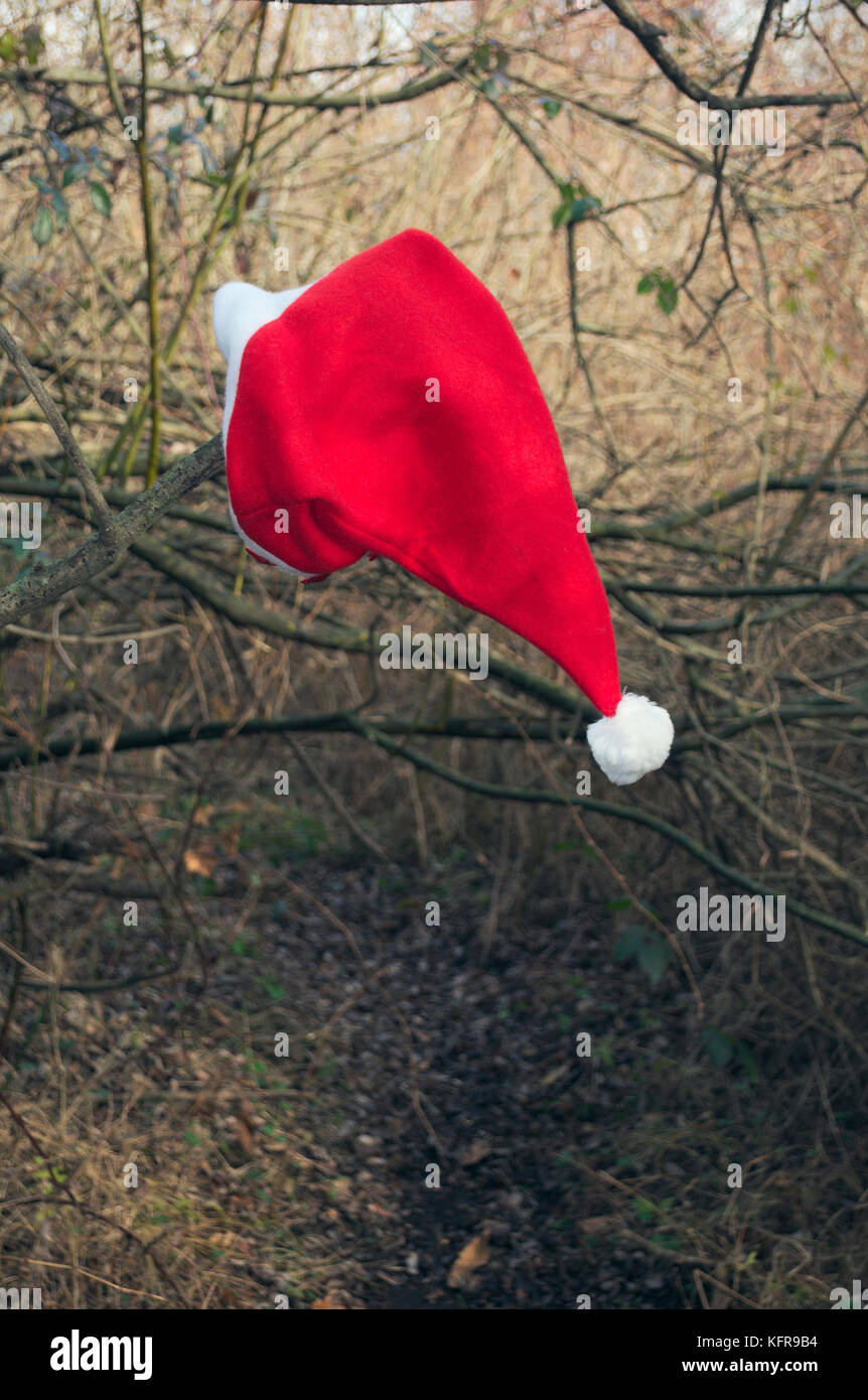 Santa Claus hat perso nella foresta Foto Stock