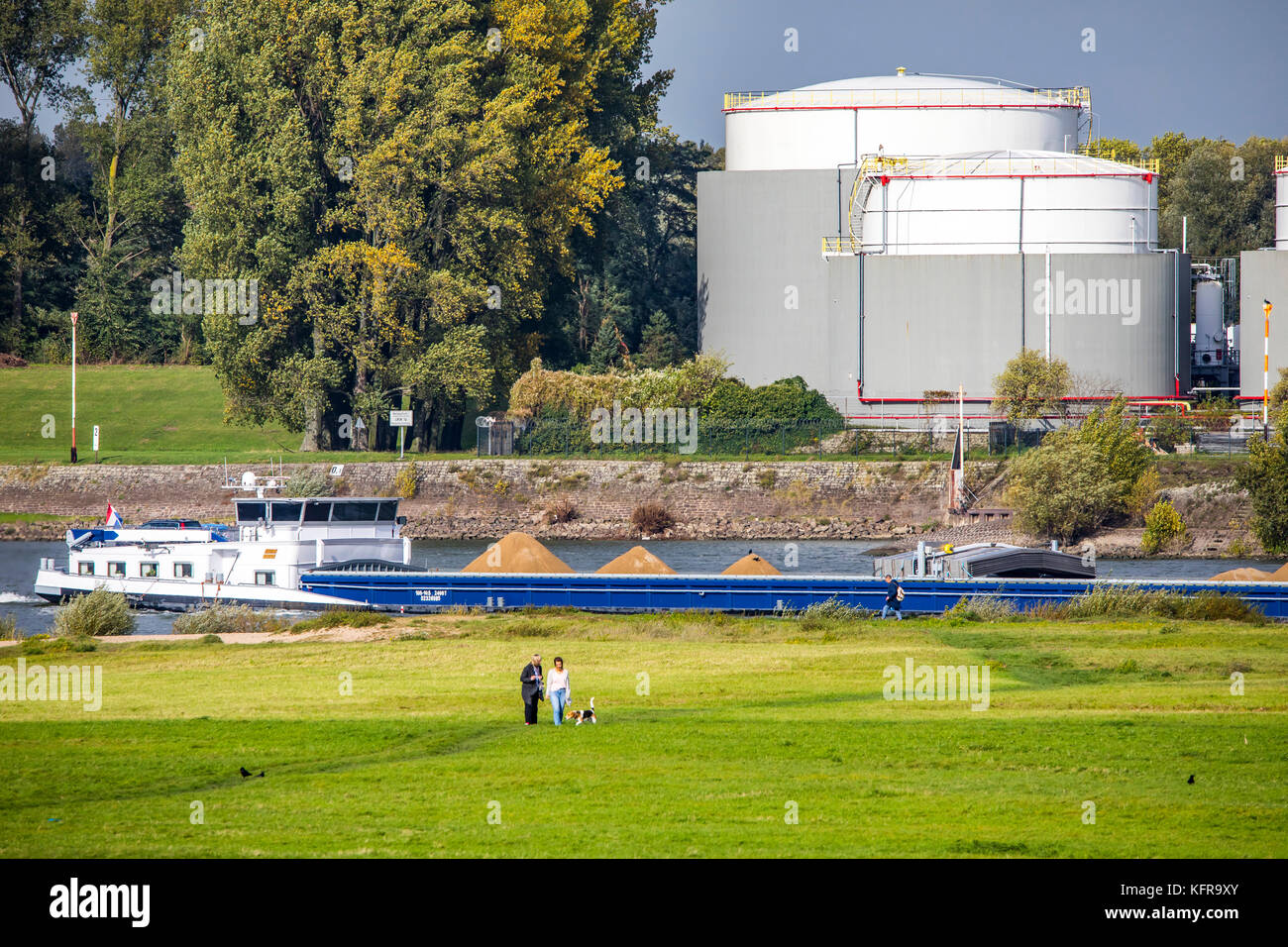 Porti di Duisburg, allevamento di cisterne di Oiltanking Germany GmbH, grandi cisterne per carburanti e oli vegetali, sul Reno, Duisburg, Foto Stock