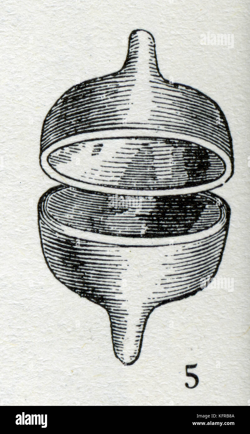 I cembali - antico strumento a percussione. Foto Stock