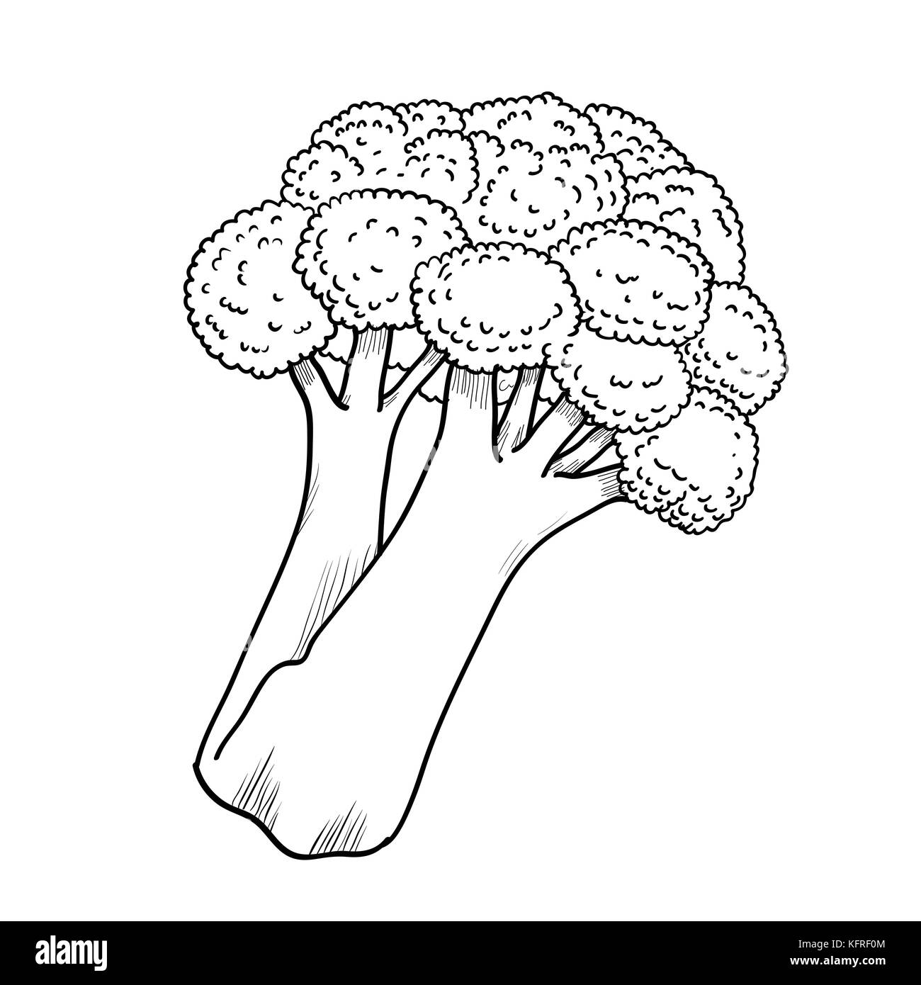 Isolato di broccoli vegetale stile inciso illustrazione. isolato broccoli sfondo dettagliato del cibo vegetariano disegno. azienda prodotto di mercato-vettore h Illustrazione Vettoriale