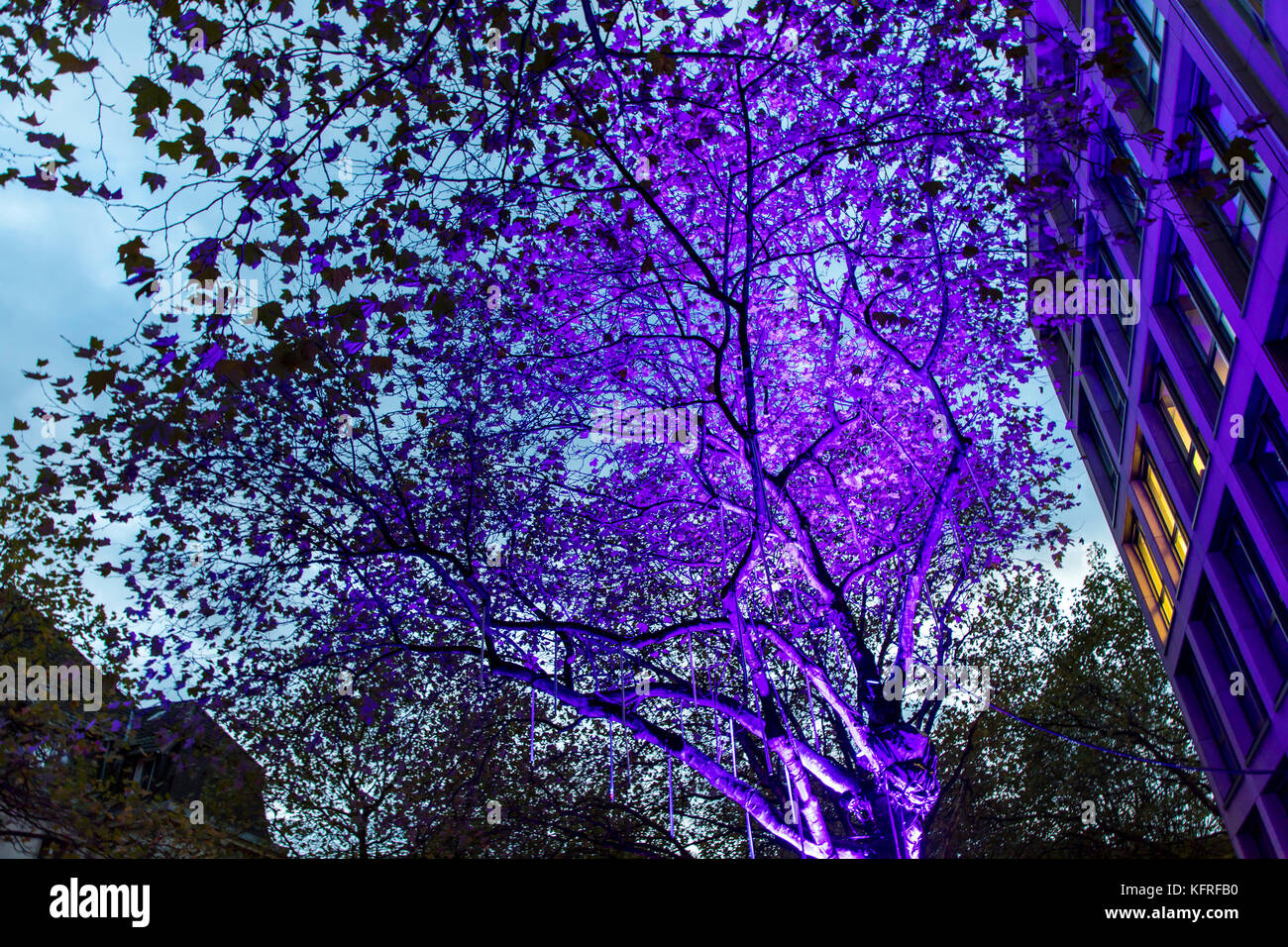 Albero illuminato essen, Germania, durante essen light festival, Foto Stock