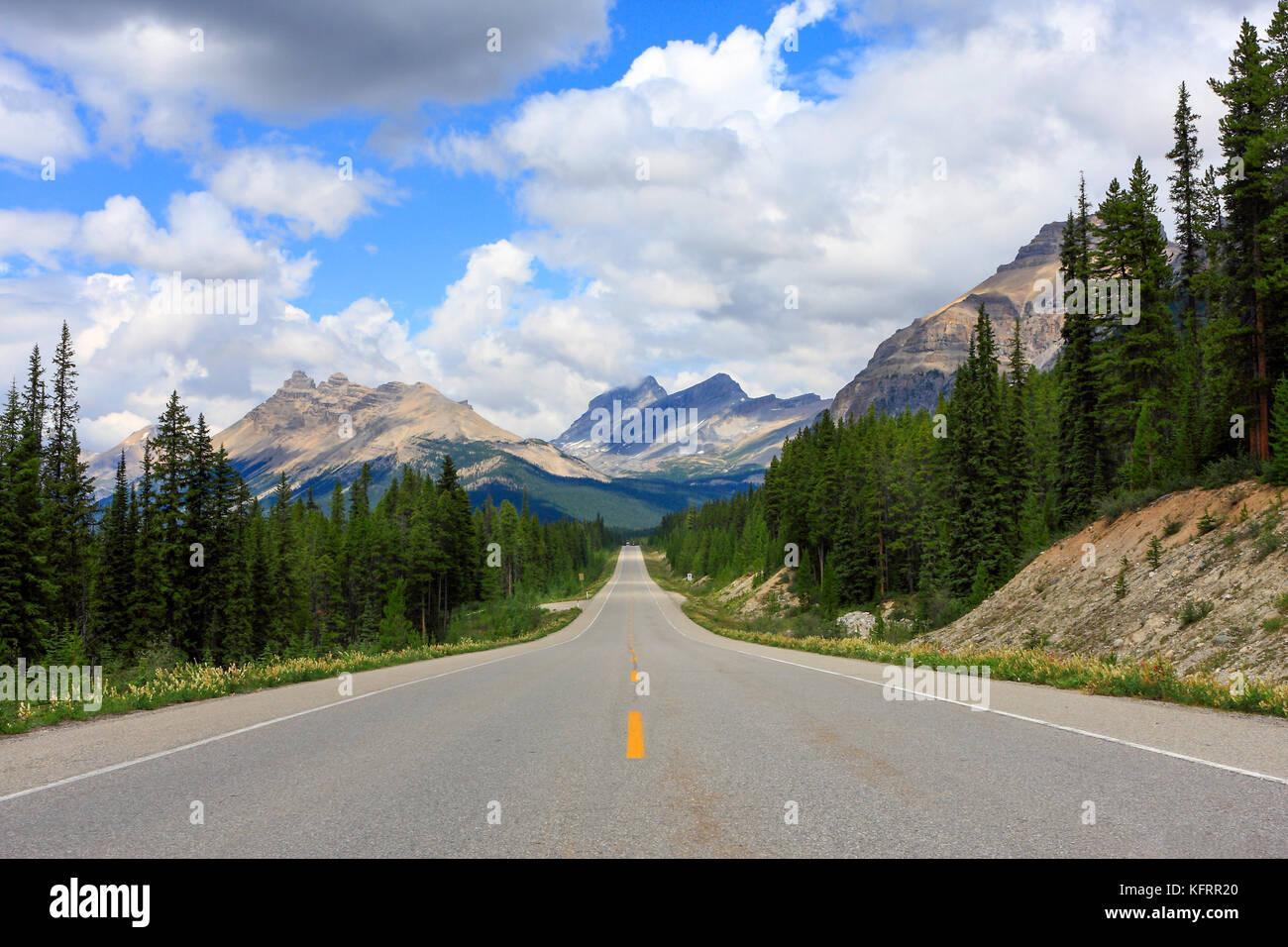 Strada diritta al Columbia Icefield, Jasper nationalpark, montagne rocciose, Alberta, Canada occidentale Foto Stock