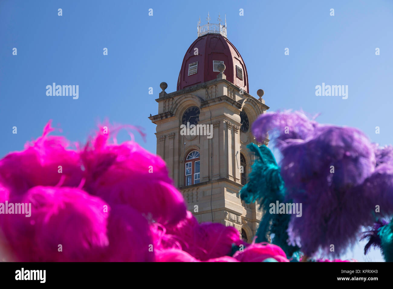 Piume di struzzo al di fuori c p nel museo, Oudtshoorn, Western Cape, Sud Africa Foto Stock