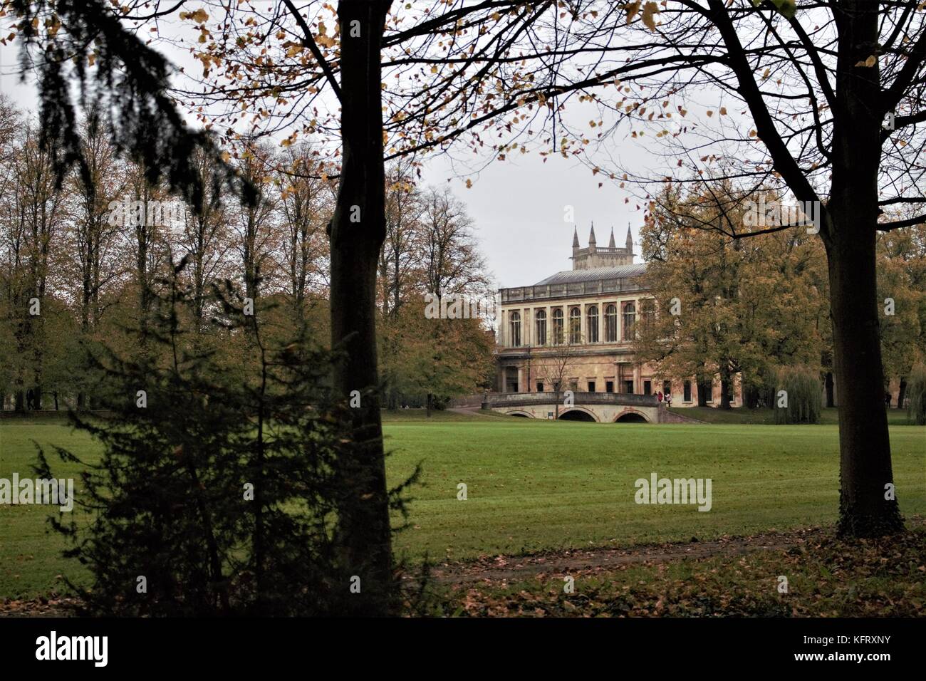 Cambridge University campus Foto Stock