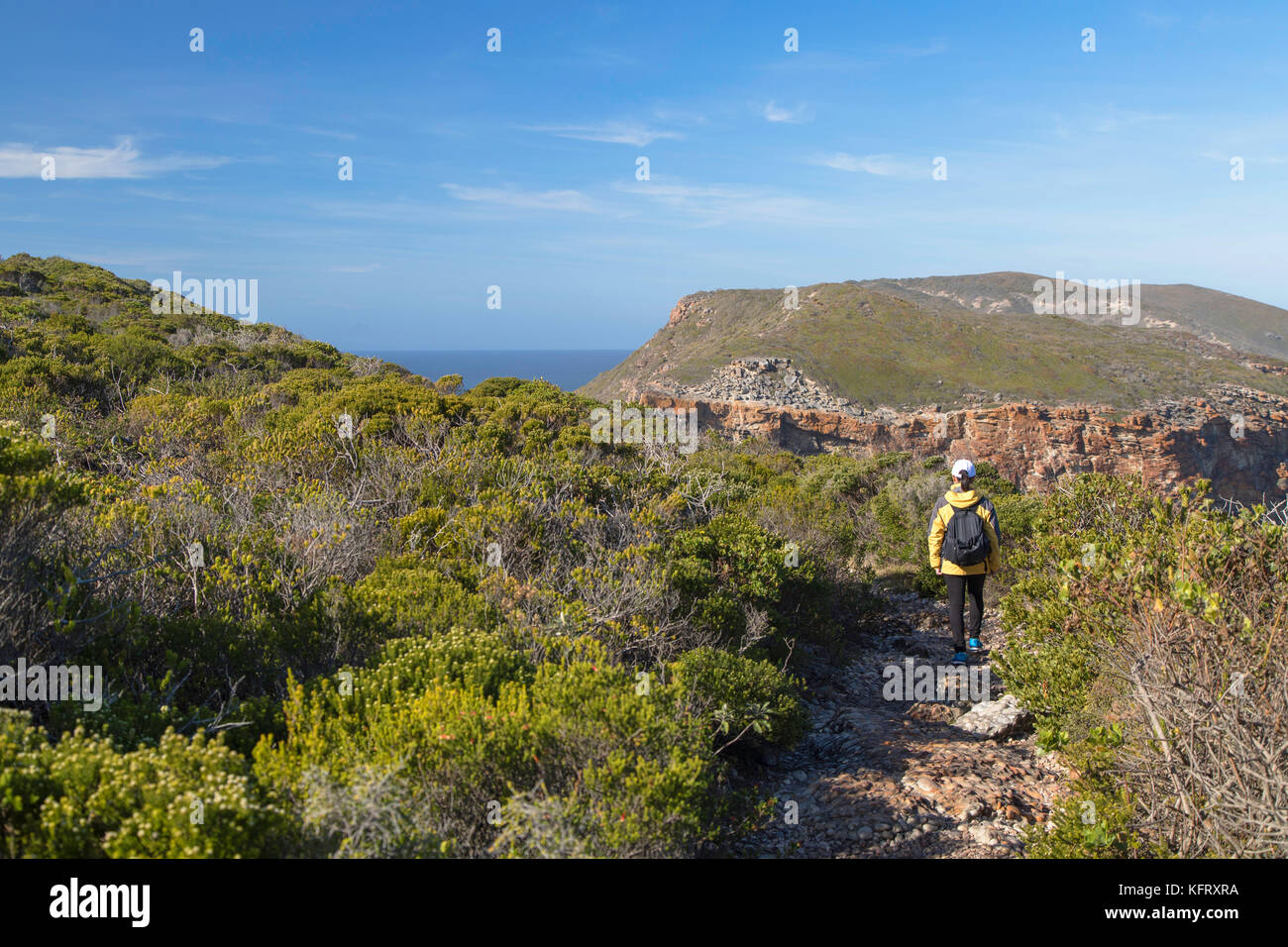 Donna escursionismo in robberg riserva naturale, Plettenberg Bay, Western Cape, Sud Africa (MR) Foto Stock