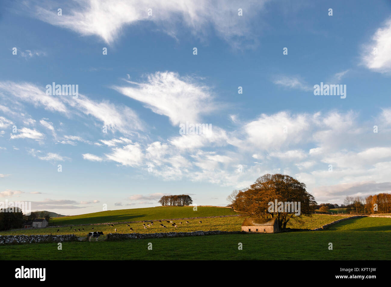 Tipico picco bianco paesaggio vicino alsop en le dale, parco nazionale di Peak District, Derbyshire Foto Stock