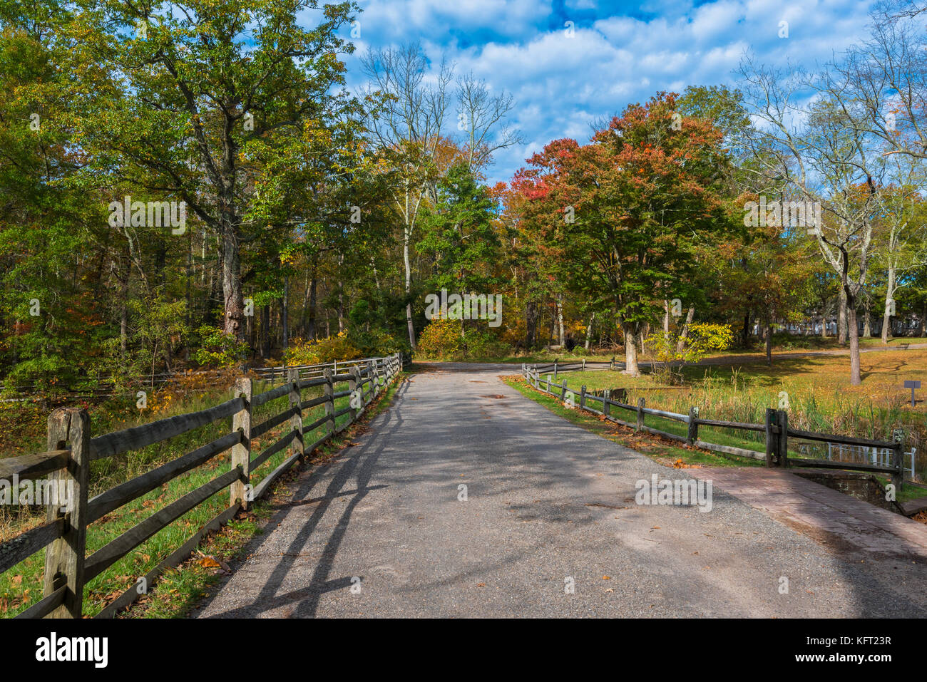 Un recintato nel percorso attraverso una zona boschiva con alberi di rotazione dei colori e un cielo blu sullo sfondo. Foto Stock