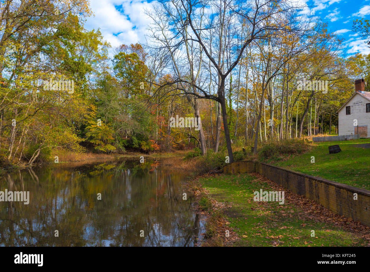 Un flusso in un bosco circondato da alberi girando i colori sotto un drammatico cielo blu. Foto Stock