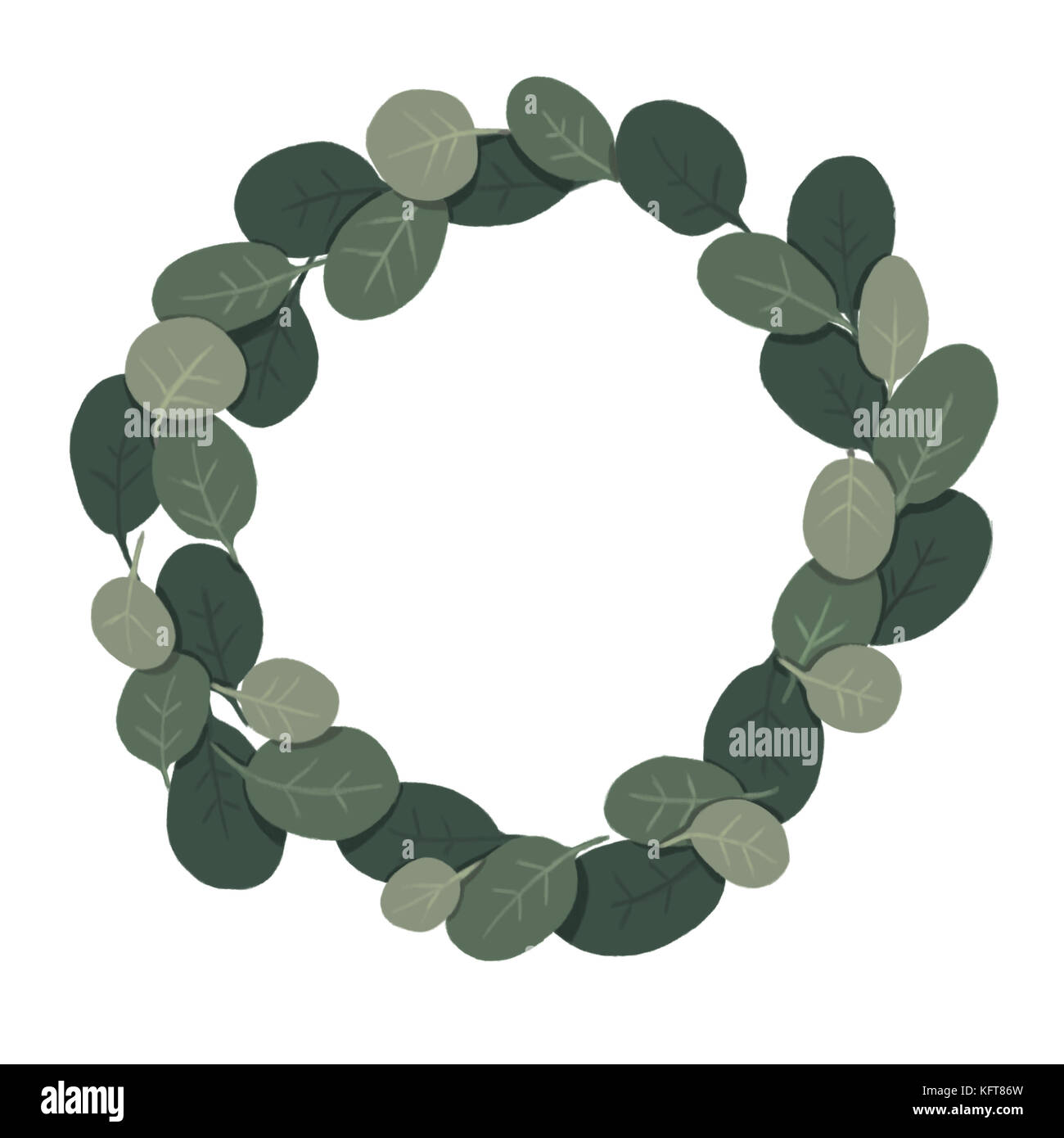 Illustrato ghirlanda di eucalipto Foto Stock