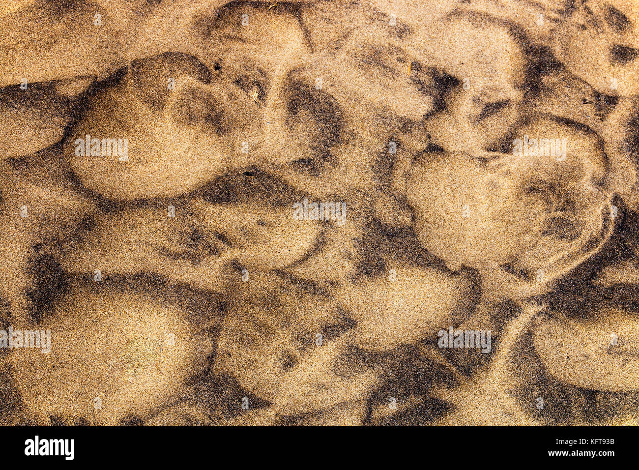 Extreme close up di grano i modelli e le texture lasciato dalla marea in uscita sulla spiaggia Sfondo sabbia Foto Stock