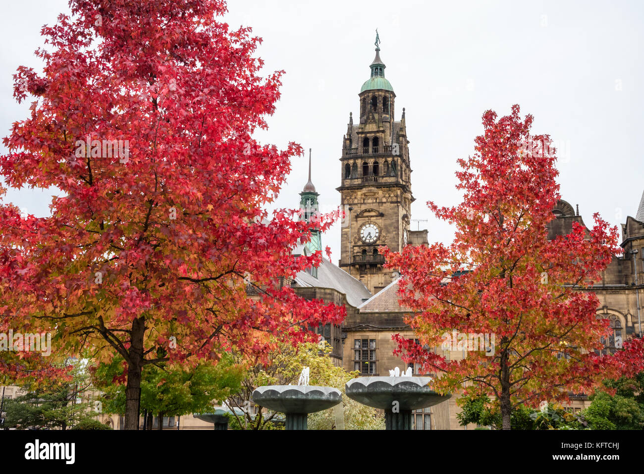 La torre dell'orologio di Sheffield Town Hall circondato da red Colore di autunno alberi. Sheffield, UK. Foto Stock