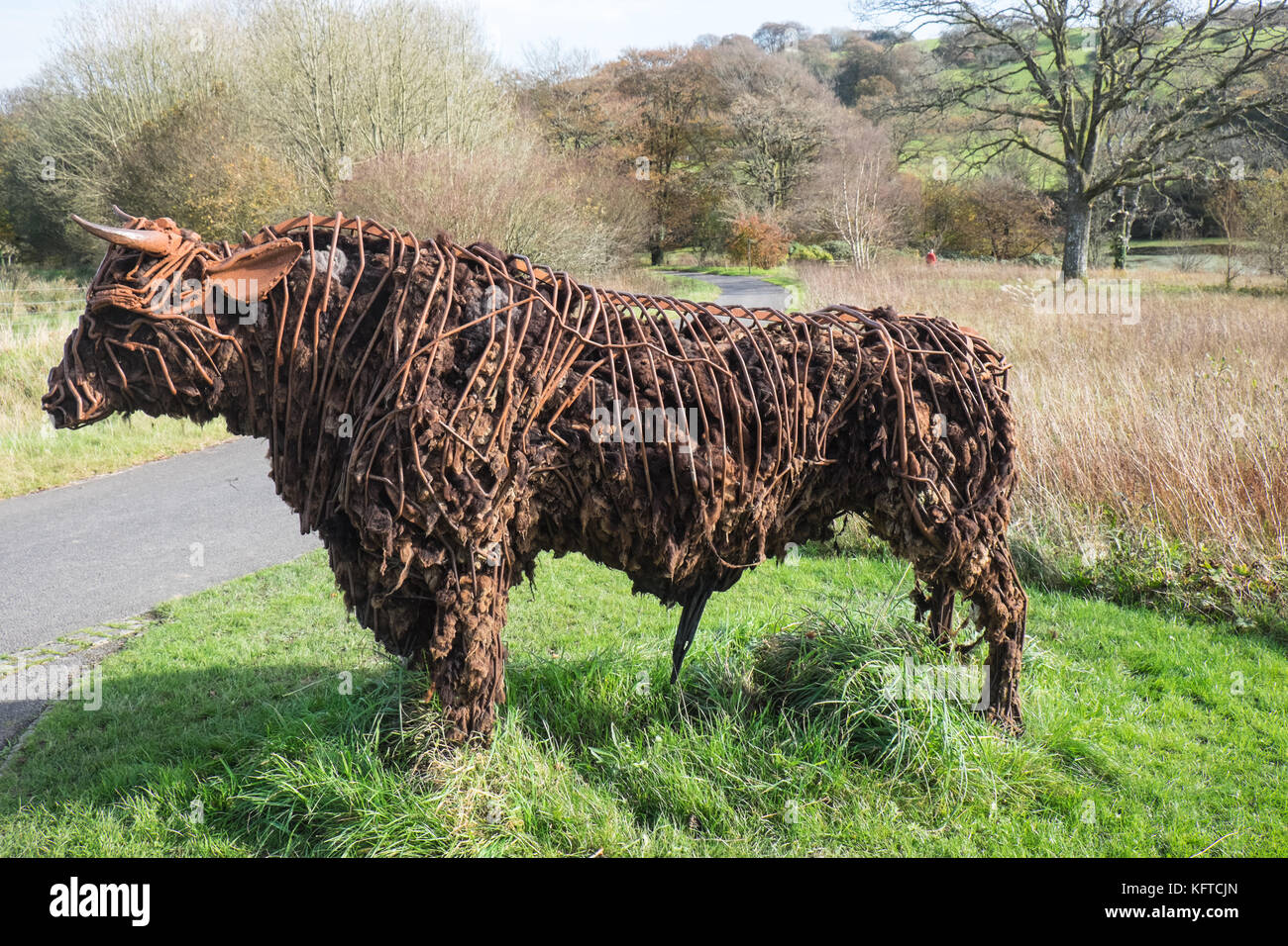 Nel giardino selvaggio, è 'Tarw' il Welsh Black Bull, scultura,da Sally Matthews.National Botanic Garden of Wales,Llanarthe,Carmarthenshire,Galles,UK, Foto Stock