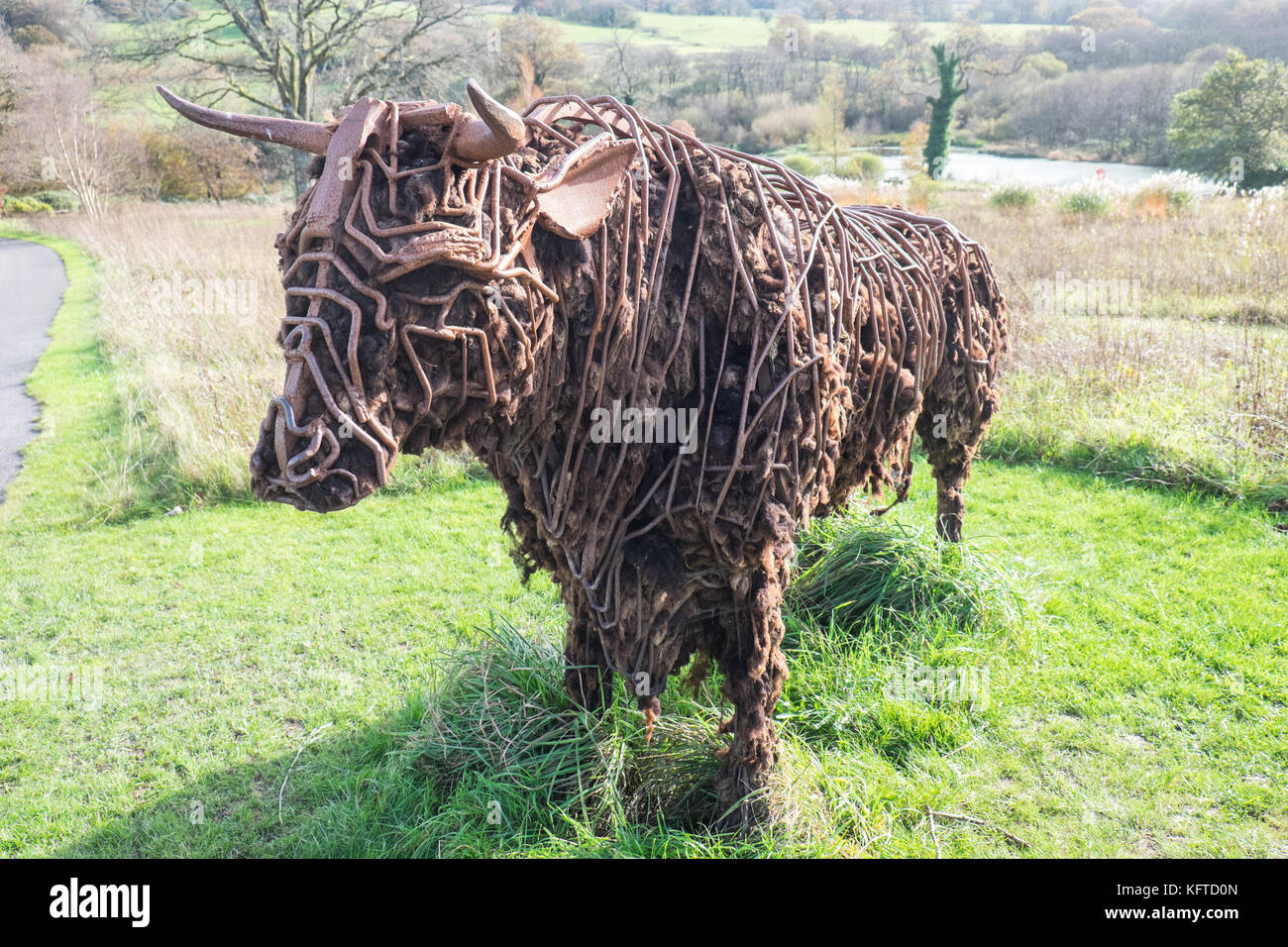 Nel giardino selvaggio, è 'Tarw' il Welsh Black Bull, scultura,da Sally Matthews.National Botanic Garden of Wales,Llanarthe,Carmarthenshire,Galles,UK, Foto Stock