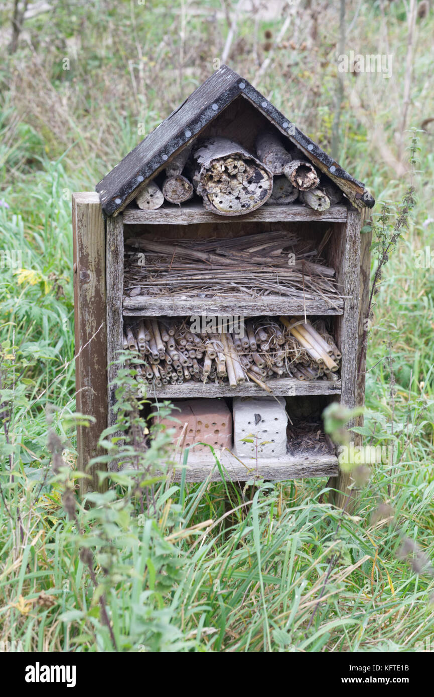 Bug e casa di insetti in legno Foto Stock