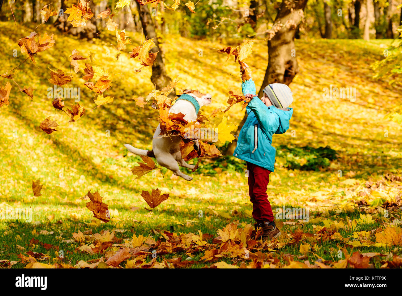 E per il divertimento di tutta la famiglia ora in autunno park con capretto e cane Foto Stock