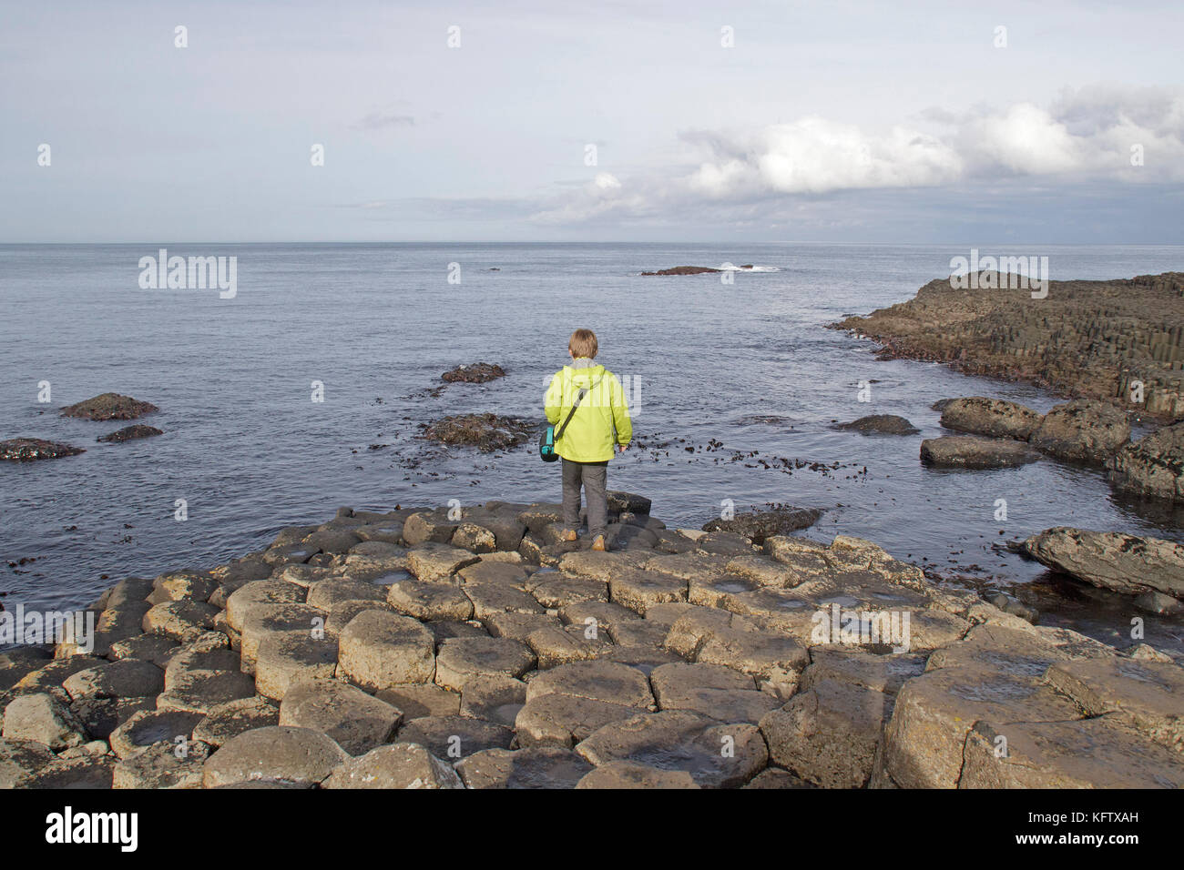 Colonne basaltiche, giganti Causeway, Bushmills, Co. Antrim, Irlanda del Nord Foto Stock