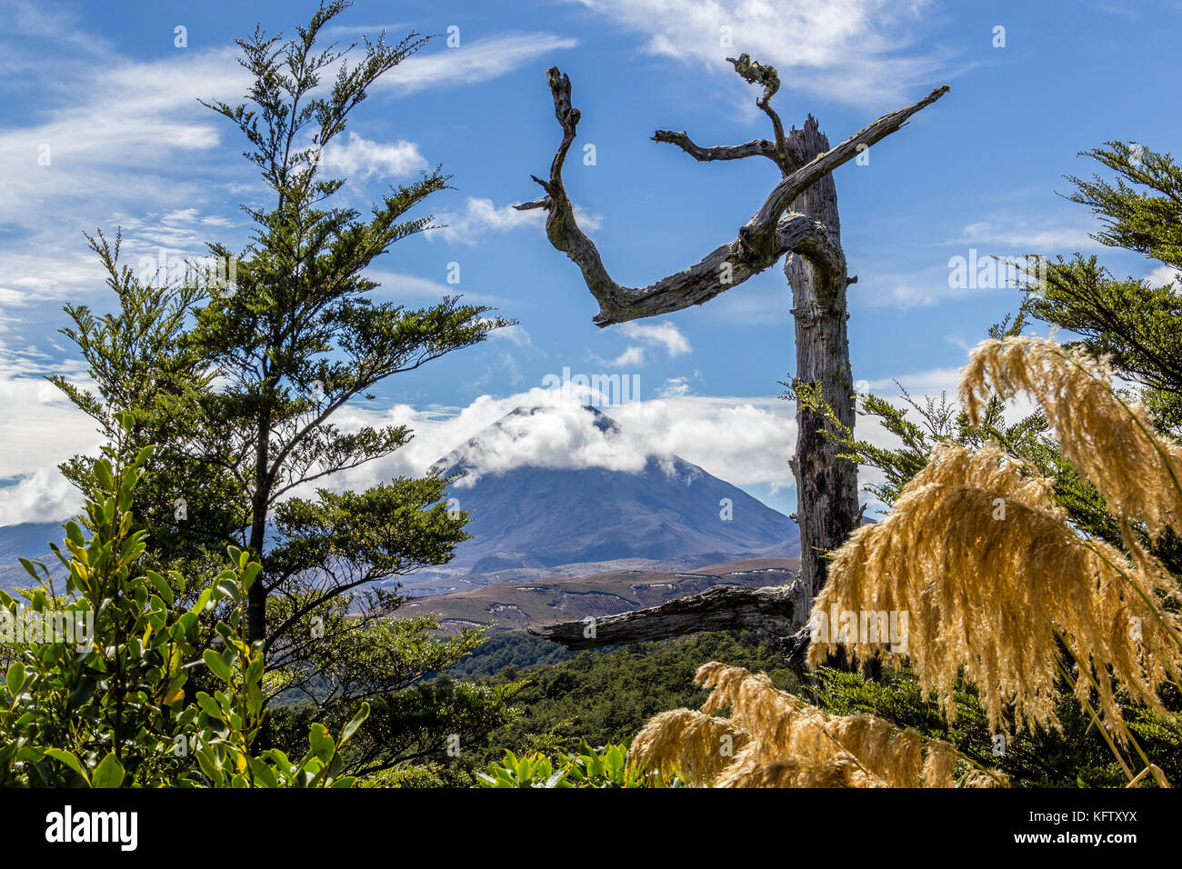 Il monte Vulcano tongariro in Nuova Zelanda Foto Stock