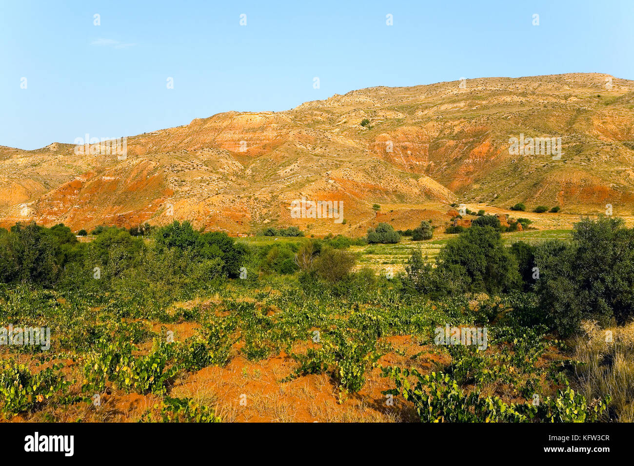 Agricolo di piantagione sullo sfondo della montagna rossa. la Turchia. Foto Stock