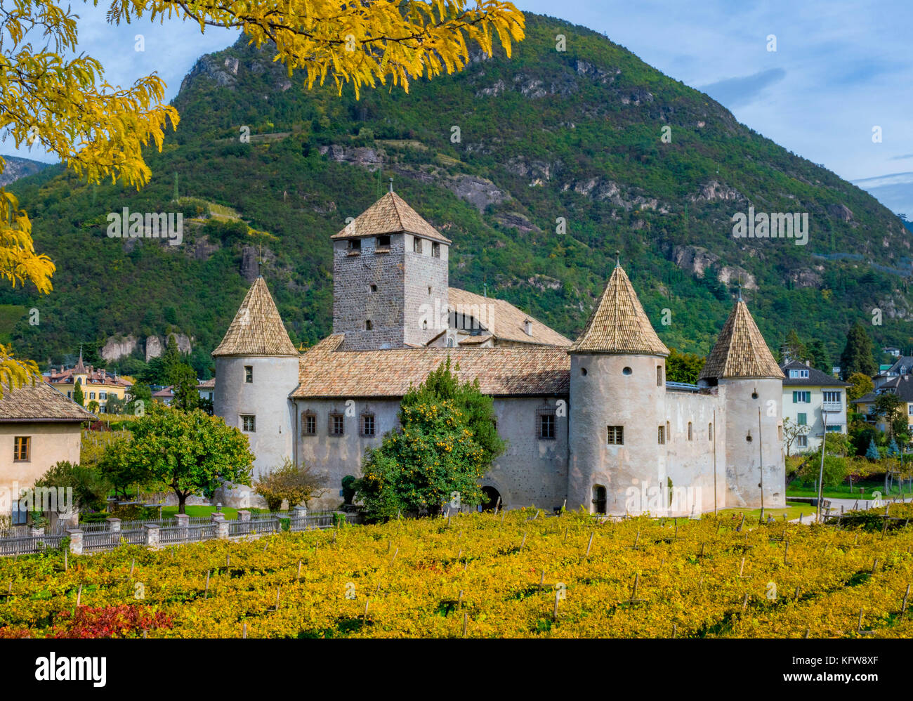 Schloss Castel Mareccio e vigneto, Bolzano, Alto Adige, Italia, Europa Foto Stock