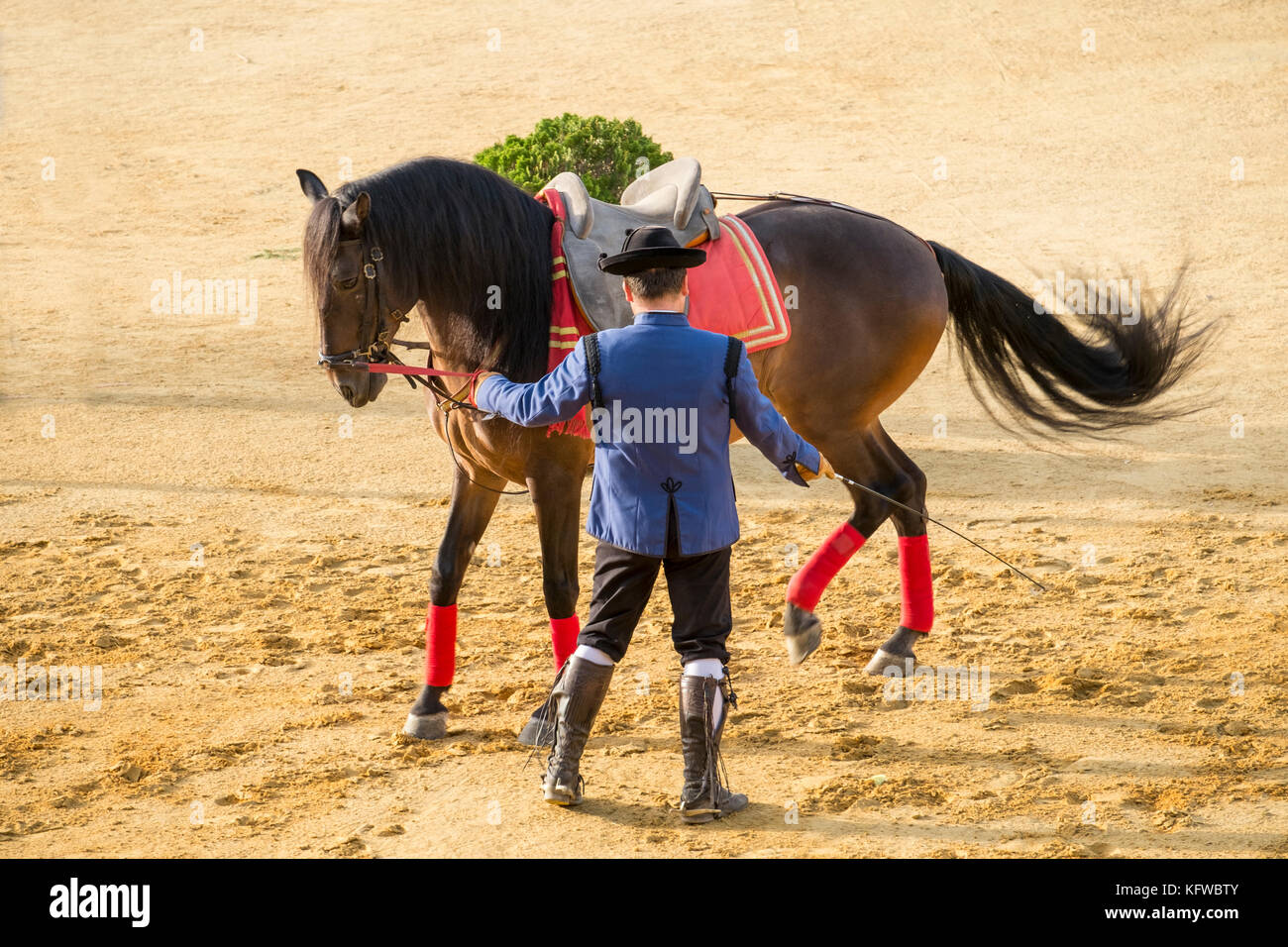 Esecuzione andalusa danza cavallo e pilota. Andalusia, Spagna Foto Stock