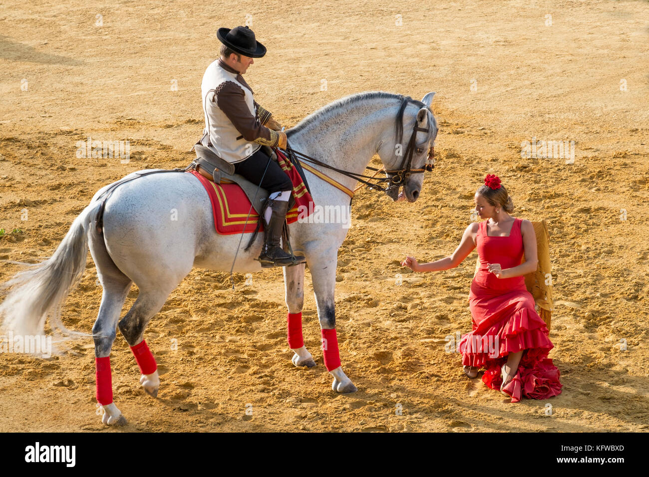 Tradizionale spettacolo andaluso di un cavallo da ballo con pilota, accompagnato da una ballerina di flamenco. Andalusia, Spagna Foto Stock