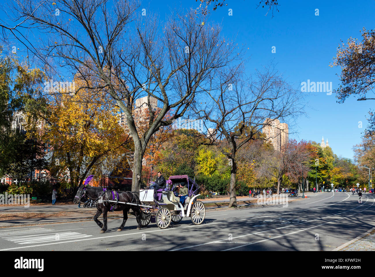 Cavallo e Carrozza sulla West Drive nel Central Park di New York City, NY, STATI UNITI D'AMERICA Foto Stock