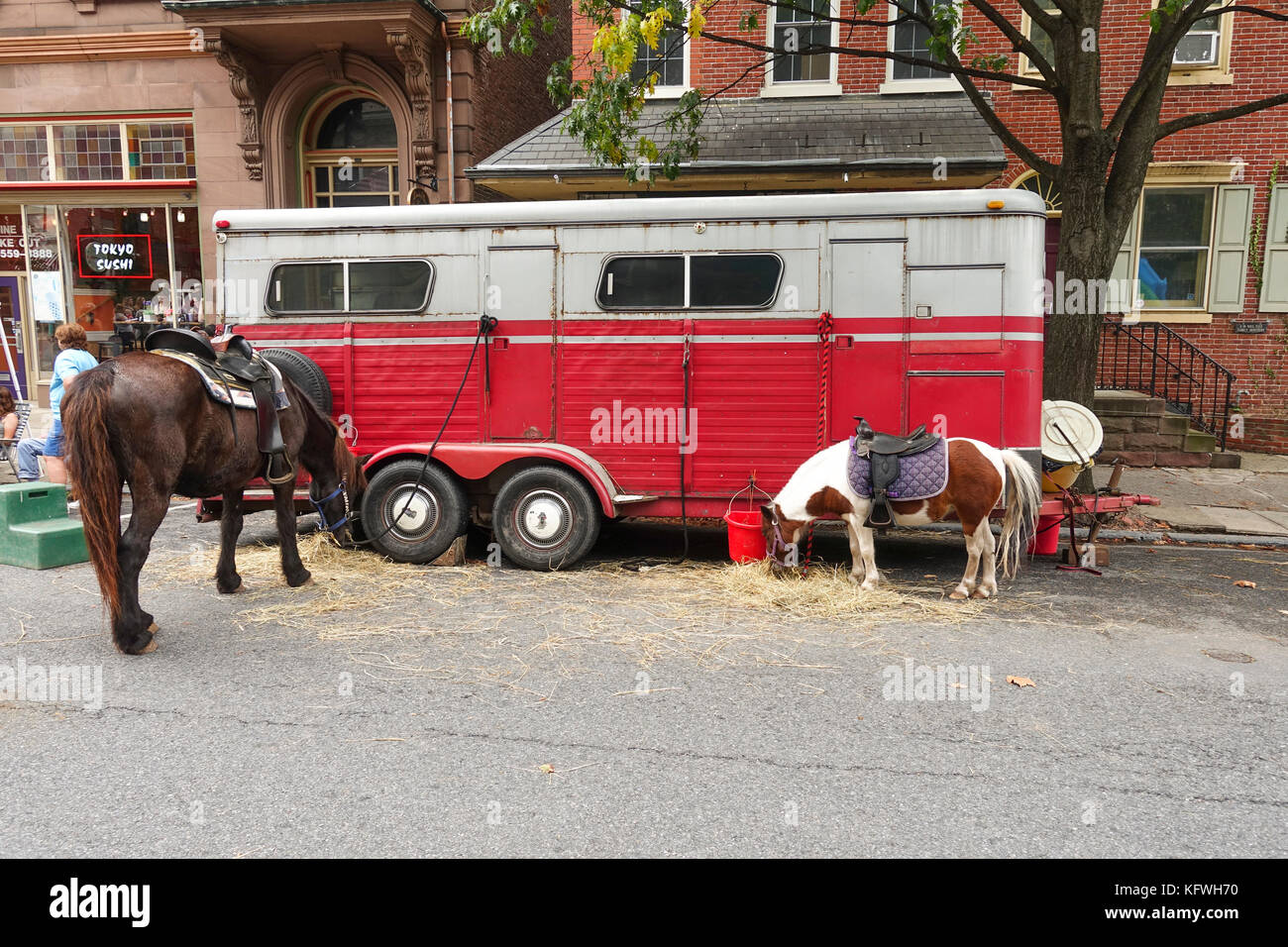 Un pony e cavalli a un mercato per i pony, mangiare il fieno, accanto a cavallo rimorchio, Easton, Pennsylvania, Stati Uniti. Foto Stock
