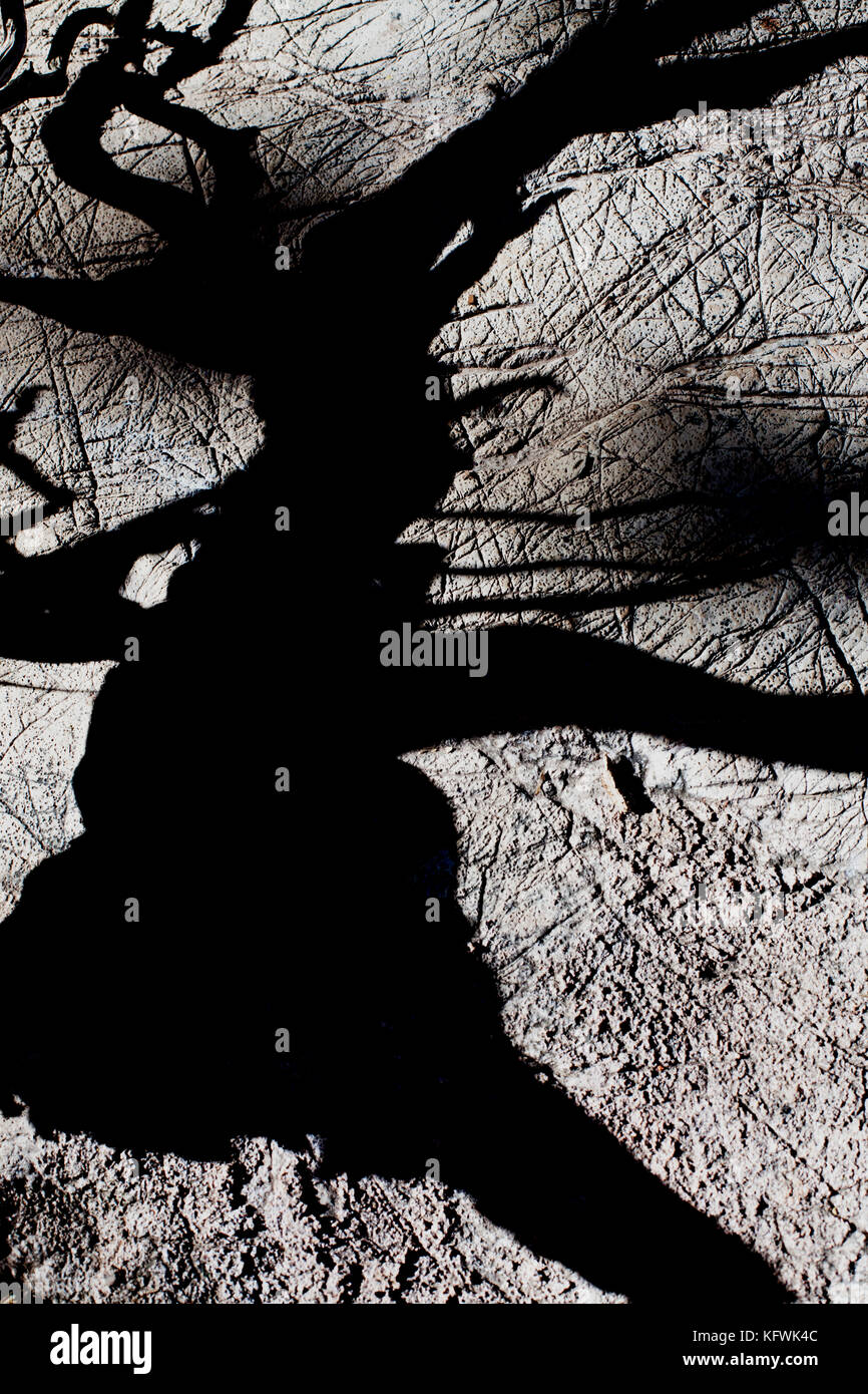 Spooky, strega-come ombra. Foto Stock