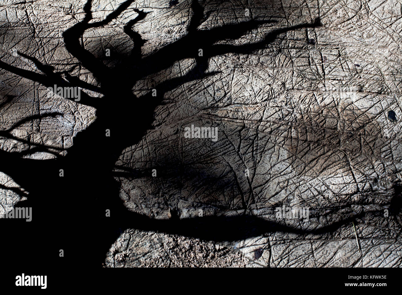 Spooky, strega-come ombra. Foto Stock