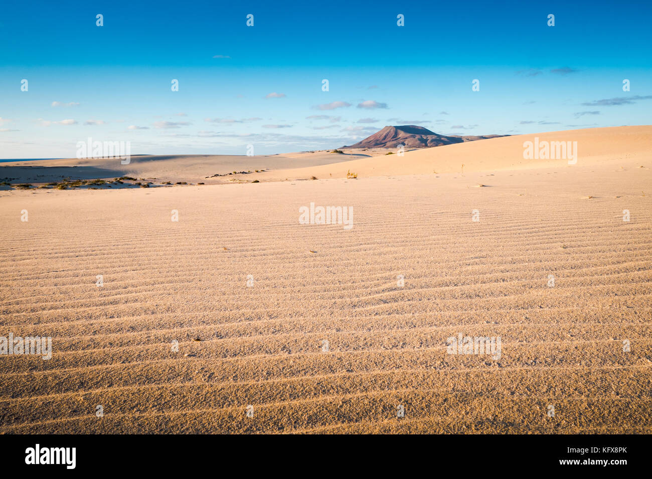 Parque Natural De Corralejo Dune Di Sabbia Corralejo La Oliva Fuerteventura Isole Canarie Spagna Foto Stock