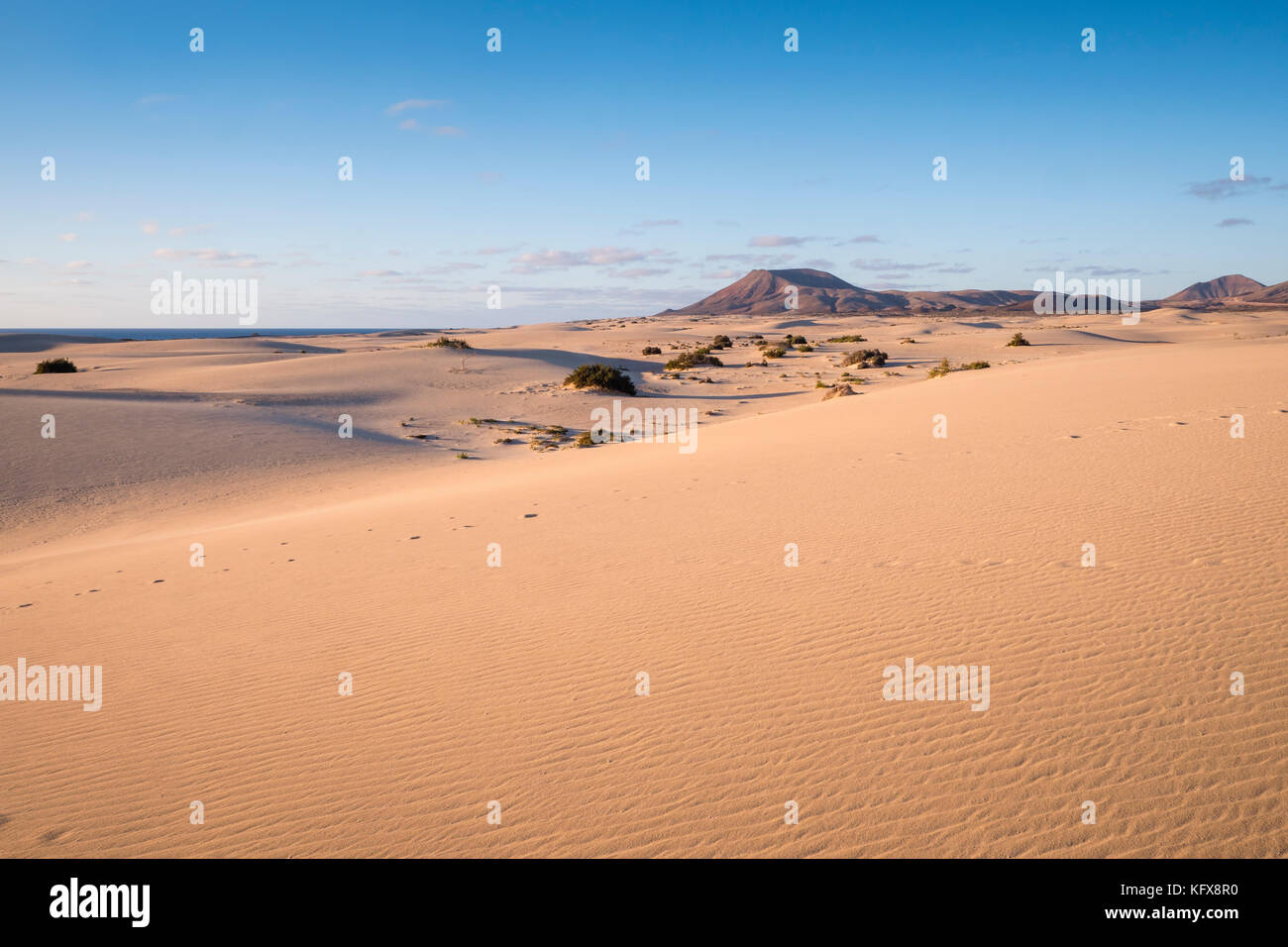 Parque Natural De Corralejo Dune Di Sabbia Corralejo La Oliva Fuerteventura Isole Canarie Spagna Foto Stock