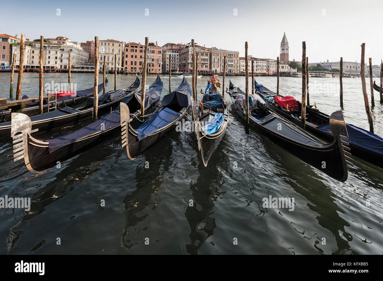 Le gondole del Canal Grande di Venezia Foto Stock