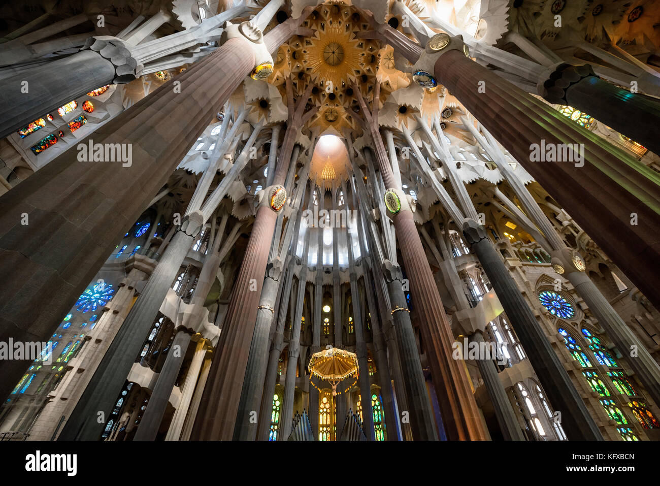 Colonne architettoniche interne della Sagrada Familia a Barcellona Foto Stock