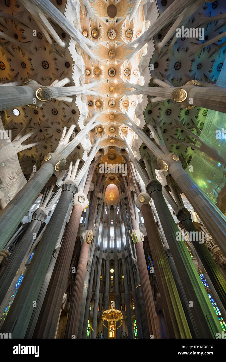 Colonne architettoniche interne della Sagrada Familia a Barcellona Foto Stock