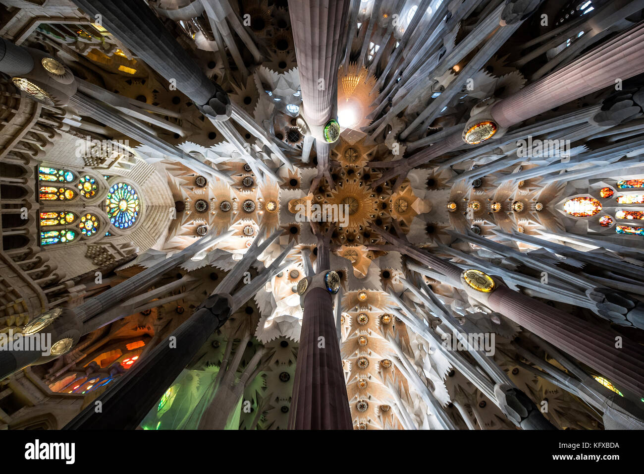Colonne architettoniche interne della Sagrada Familia a Barcellona Foto Stock