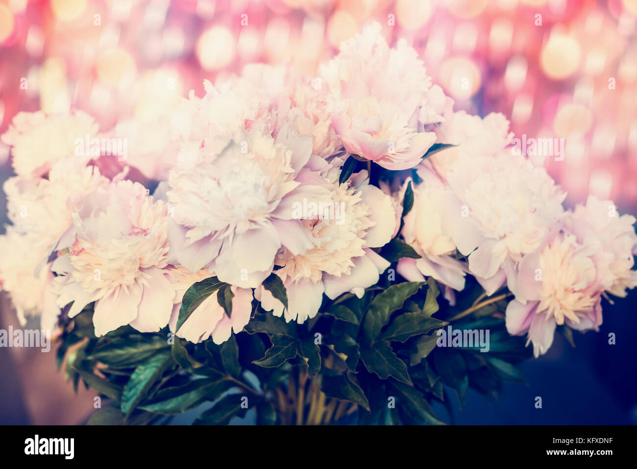 Piuttosto mazzetto di rosa pallido con peonie bokeh illuminazione, vicino. pastello sfondo floreale Foto Stock