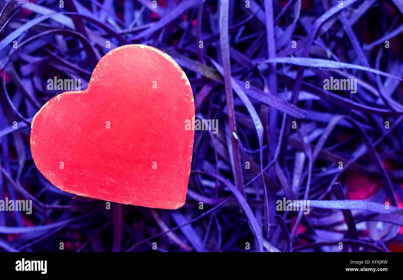 Rosa e Rosso forma di cuore sulla cima di viola e blu sullo sfondo di fieno, valentines amore simbolo Foto Stock