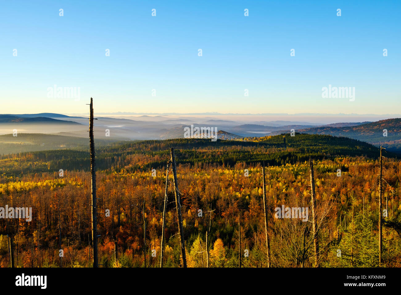 Vista da siebensteinkopf, villaggio finsterau, nel retro delle Alpi, il parco nazionale della foresta bavarese, Bassa Baviera, Baviera Foto Stock
