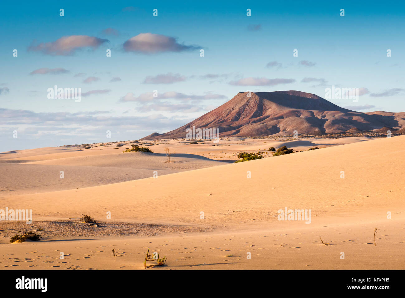 Parque Natural De Corralejo Dune Di Sabbia Corralejo La Oliva Fuerteventura Isole Canarie Spagna Foto Stock