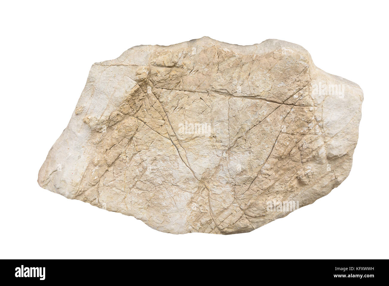 Big brown pietra di granito isolati su sfondo bianco Foto Stock