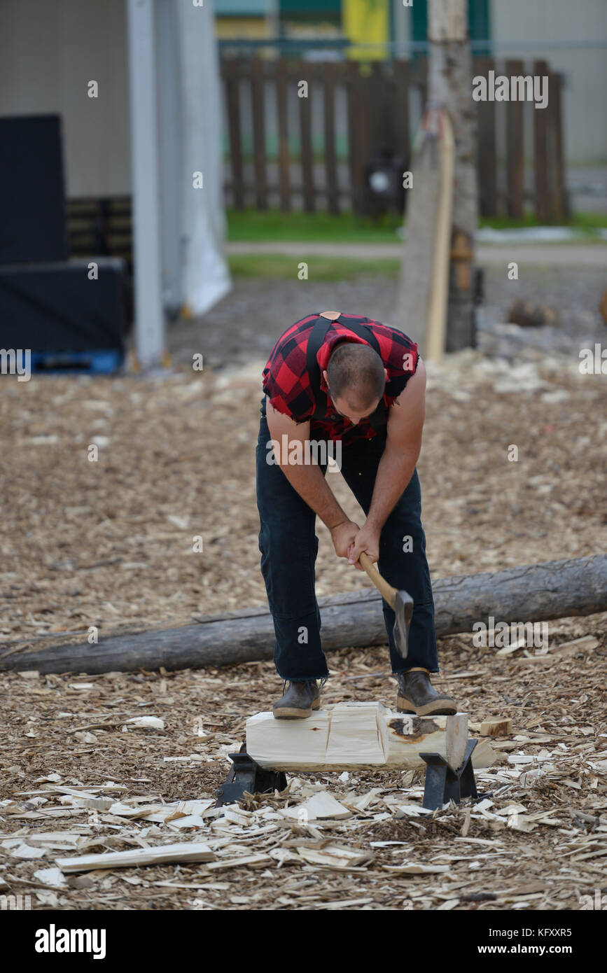 Lumberjack, chopping di legno, chopper di legno, chopper di legno, show, fiera dello stato dell'Alaska, Palmer, Alaska, Stati Uniti Foto Stock