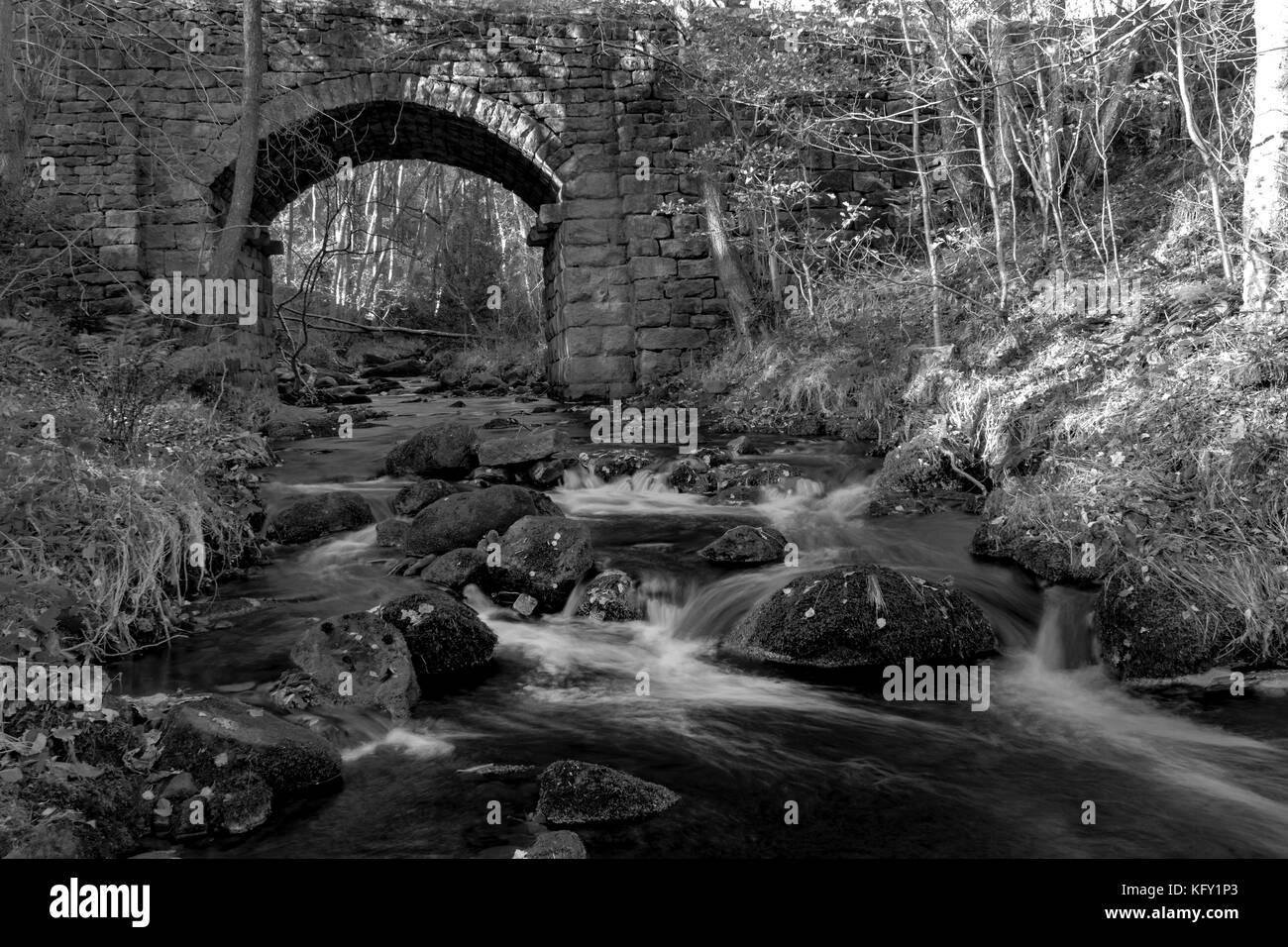 Ponte a Agden Bog Riserva Naturale Foto Stock