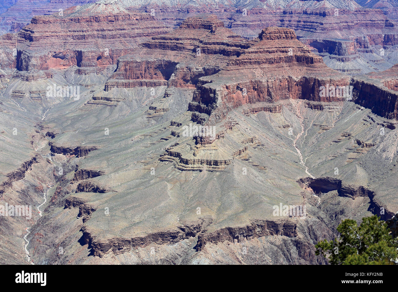 Parco Nazionale del Grand Canyon Arizona USA Foto Stock