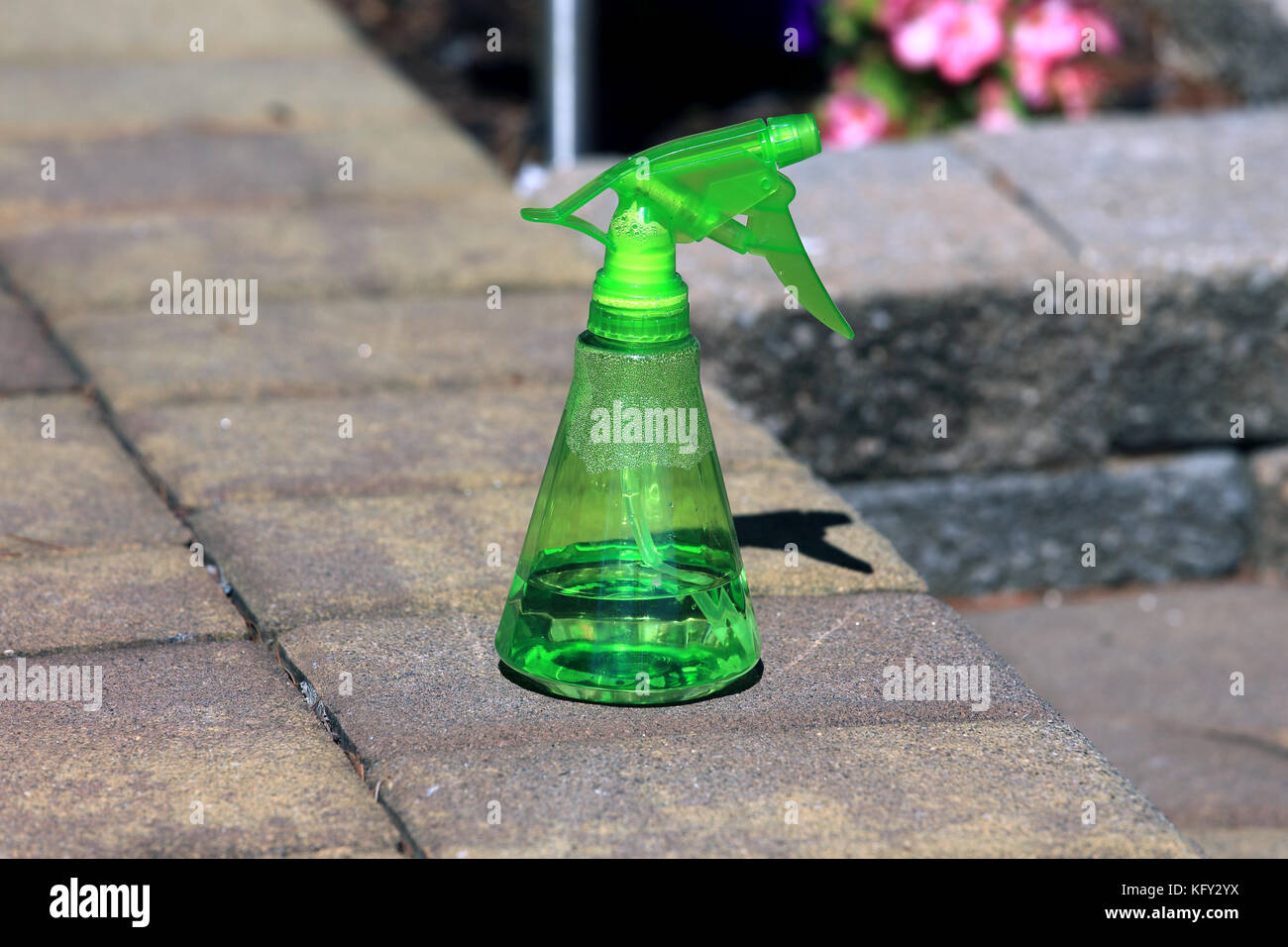 flacone spray Foto Stock