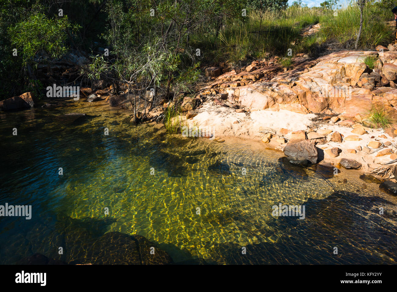 Acque cristalline a Nitmiluk (Katherine Gorge), il Parco Nazionale del Territorio del Nord, l'Australia Foto Stock